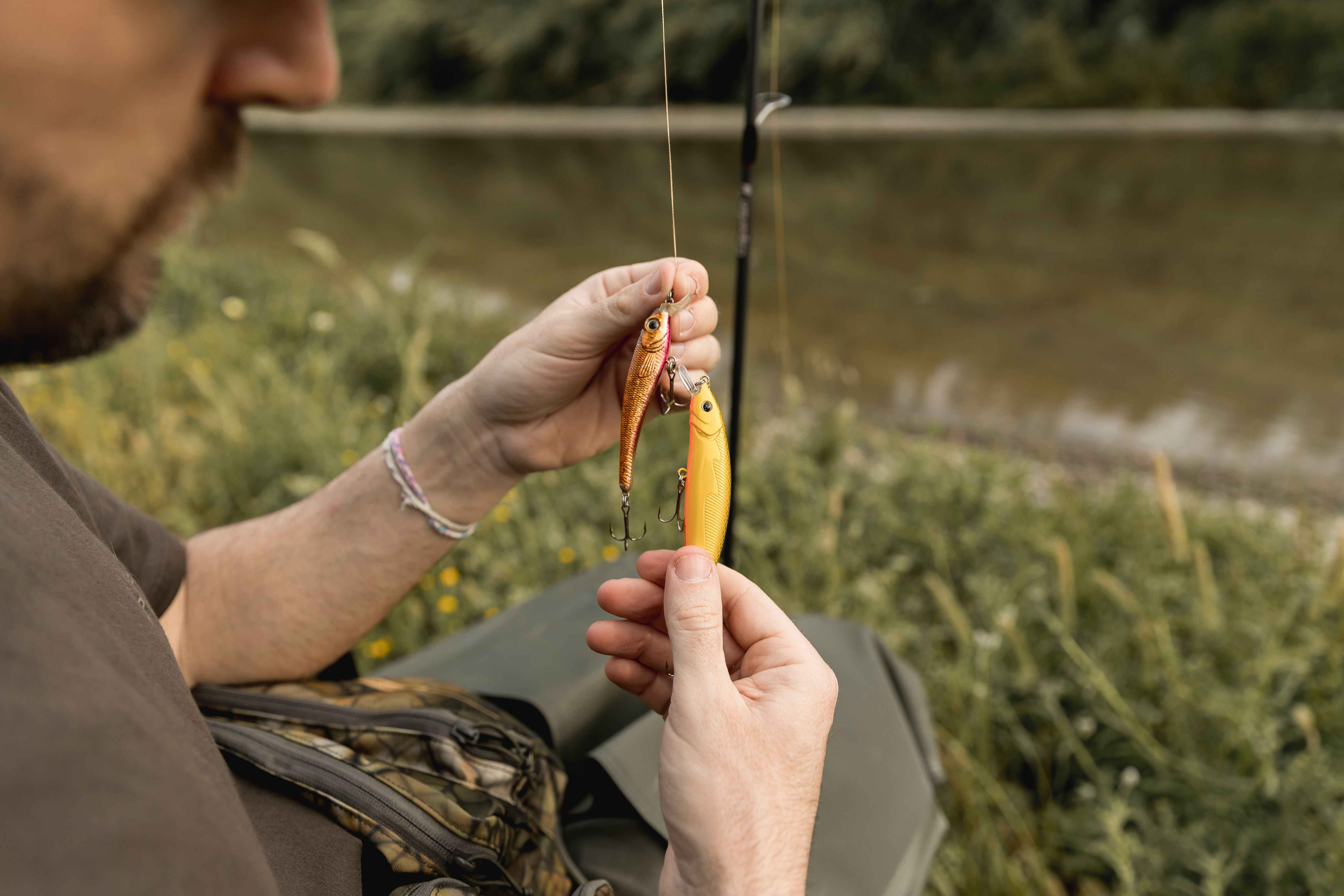 The Best Baits for Trout, Bass, and Saltwater Fish