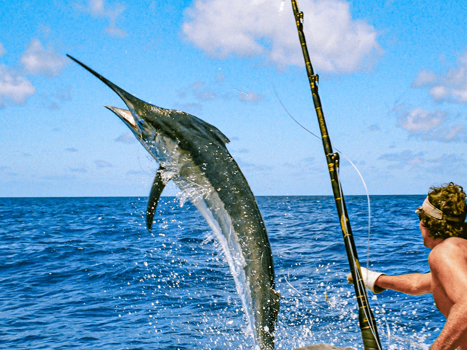 Key West Deep Sea Fishing  Offshore Fishing Charters and Guides
